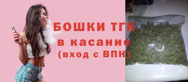 гидра Алексеевка