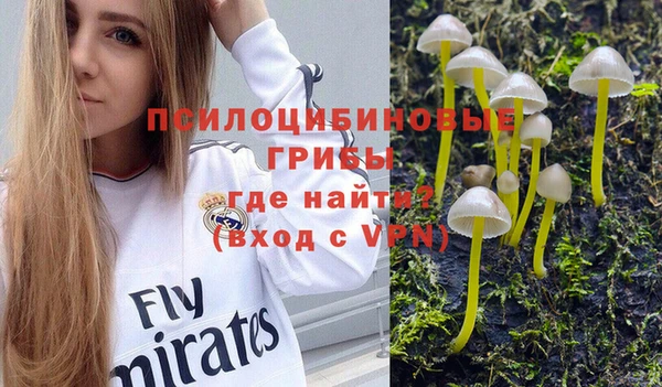 круглые Алзамай