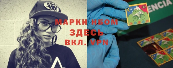 гидра Алексеевка
