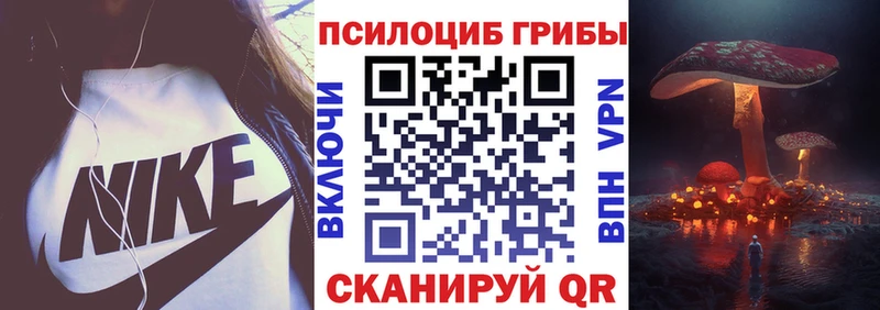 Псилоцибиновые грибы Cubensis  мориарти как зайти  Волгоград  что такое наркотик 